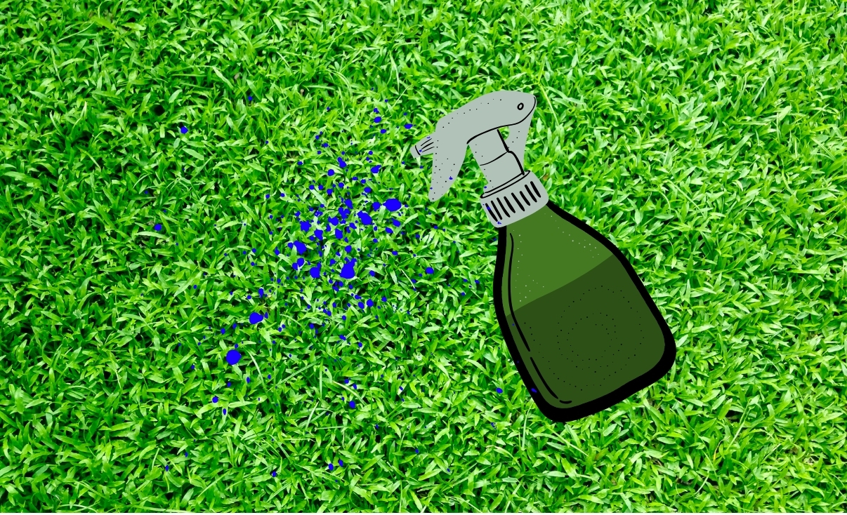 What are PGR's? - Plant Growth Regulators - International Greenkeepers For  Hire