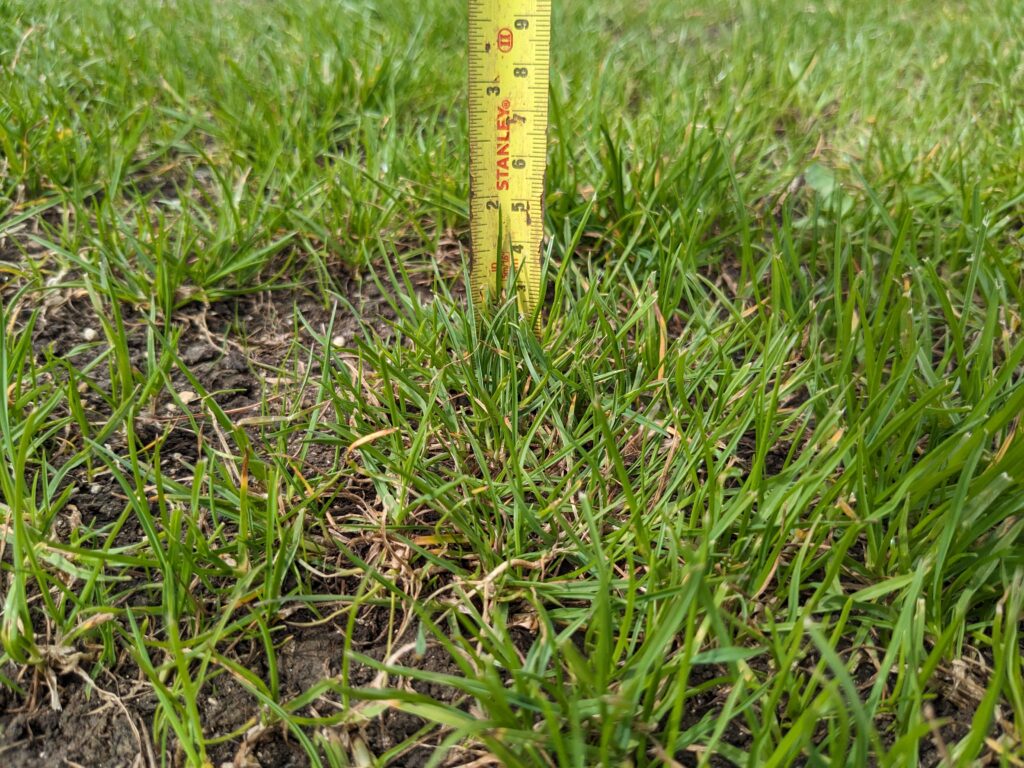 height, of, cut, tape, measure, grass,