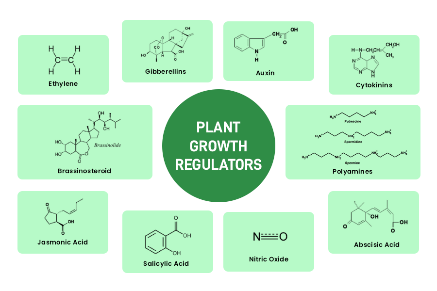 pgr, plant, growth, regulators,